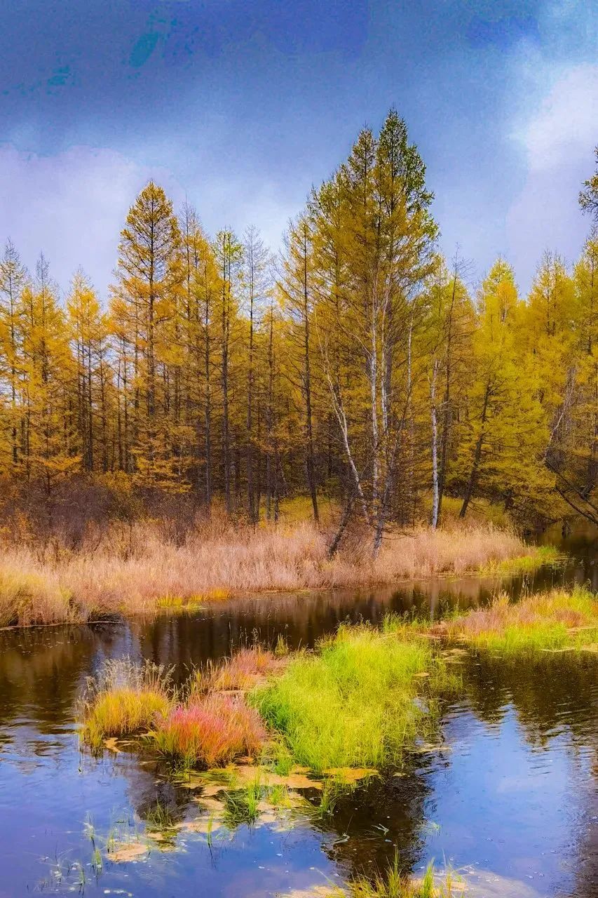 一定要在秋天去一次阿尔山