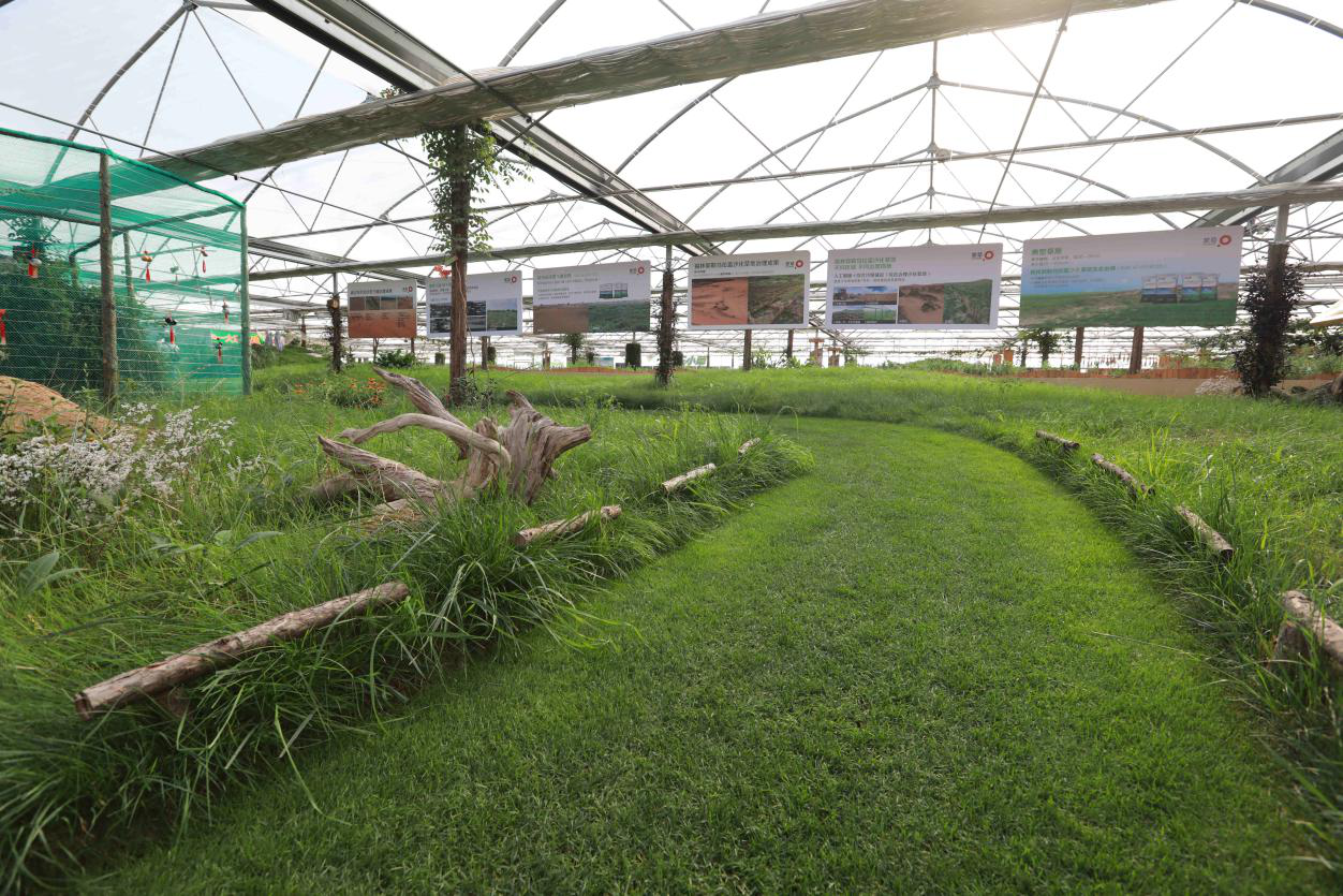 凝心聚力抗击疫情蒙草生态捐赠350万元助力呼市疫情防控