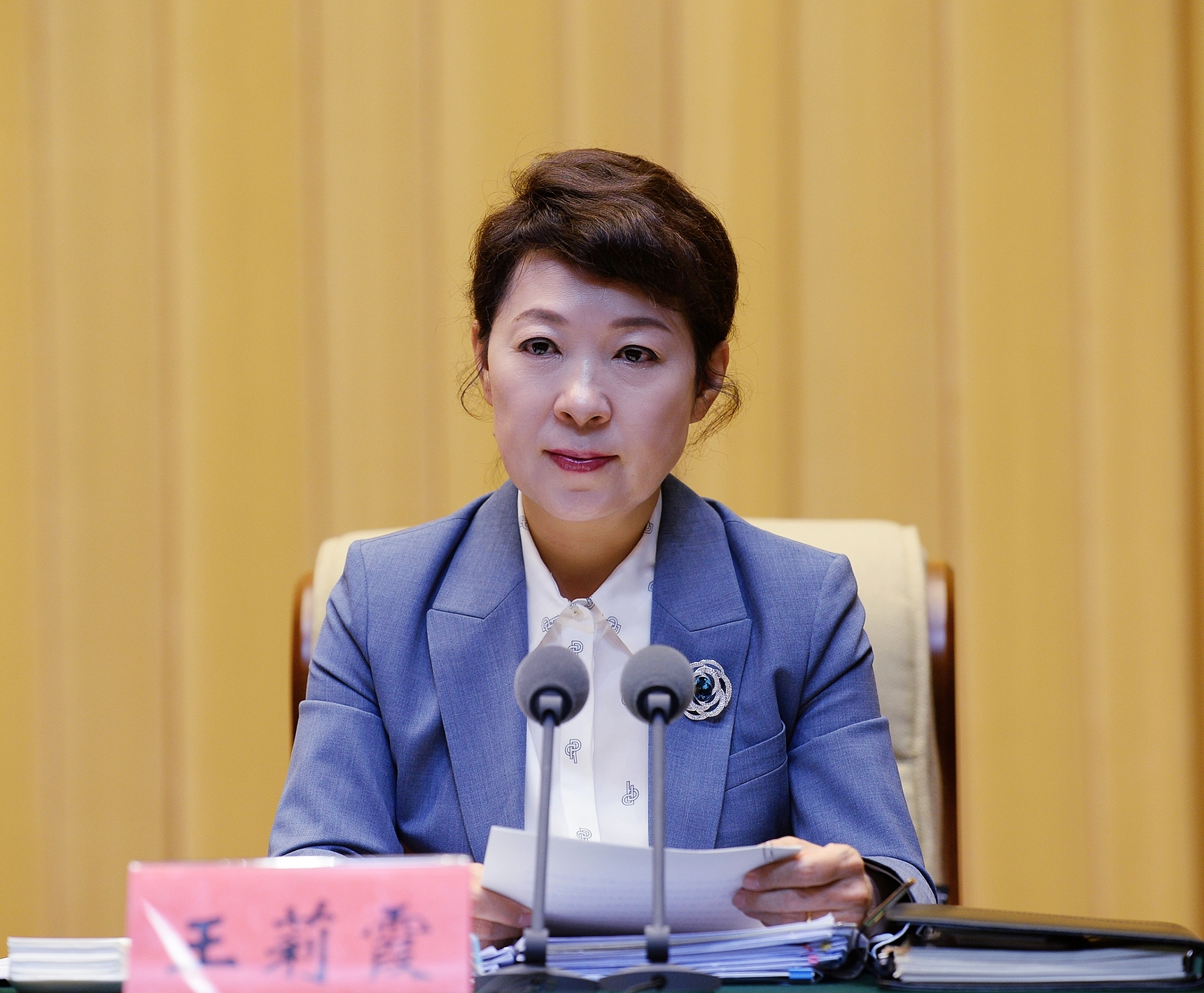 自治区党委召开干部大会传达学习贯彻全国两会精神石泰峰