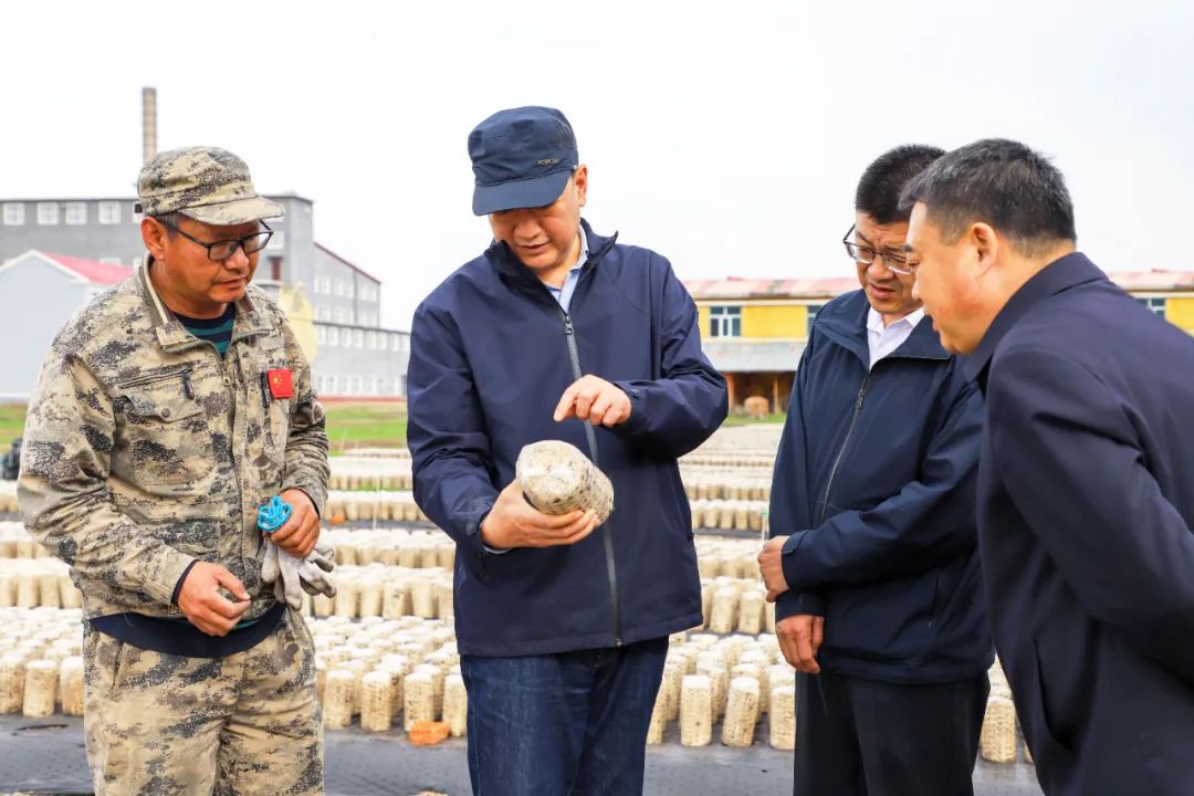 闫宏光深入林区中部调研主题教育等工作