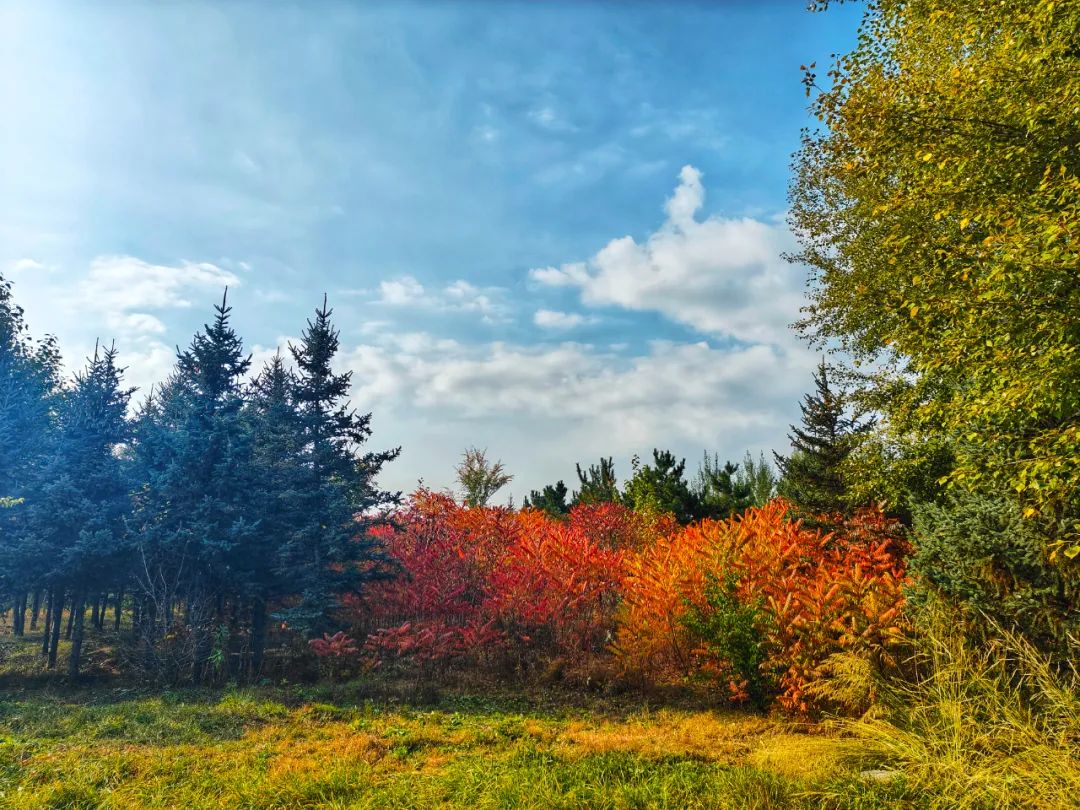 政协委员眼中的秋色集宁政协委员看集宁摄影作品欣赏