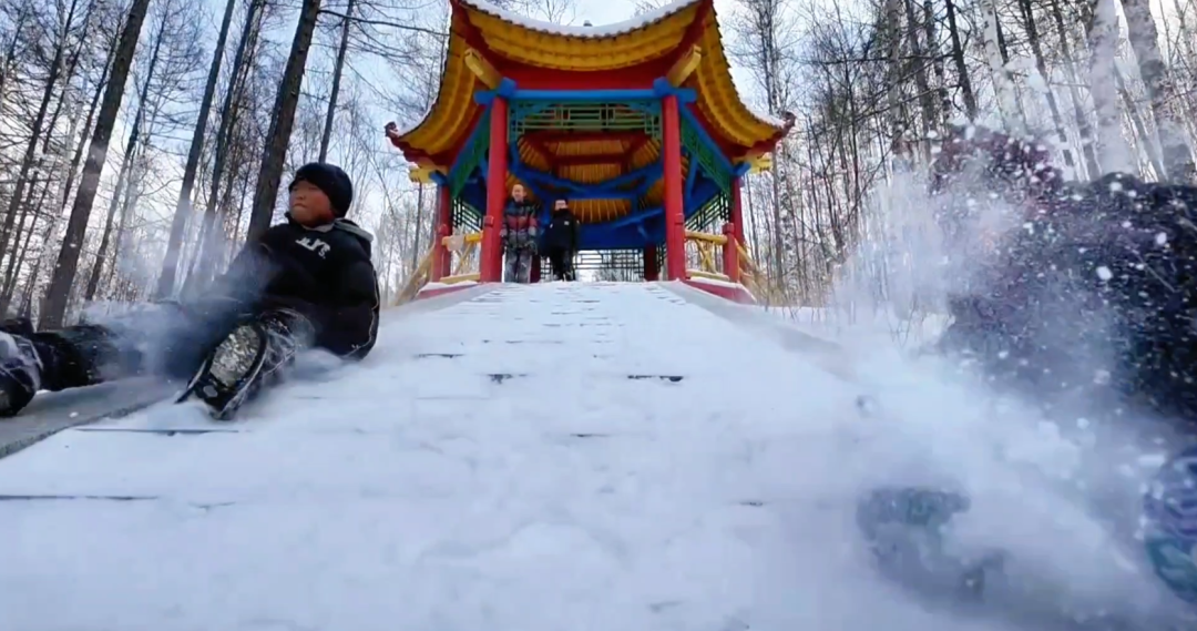 快看林区这样遛娃