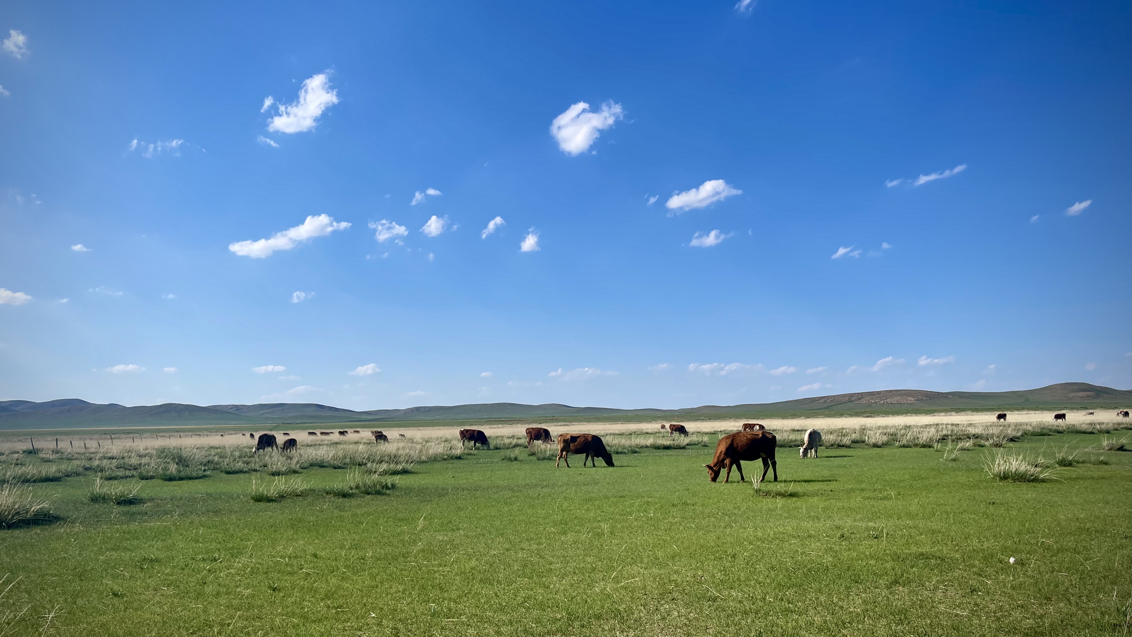 刘慧媛 摄银河璀璨草原星空.草原天眼.刘慧媛 摄