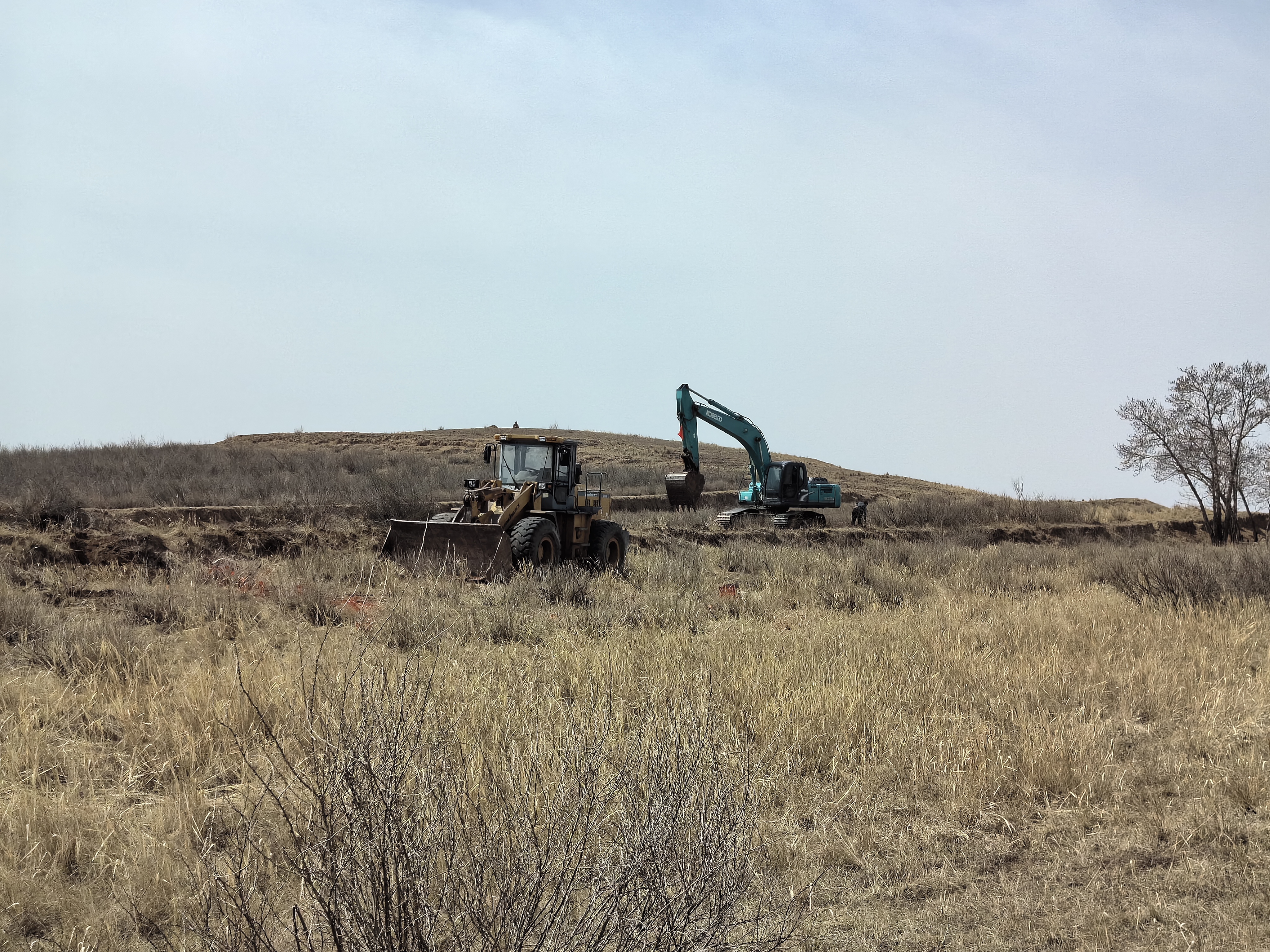 五个示范县建设凉城县蛮汉镇黑牛养殖示范牧场开工奏响乡村振兴新篇章