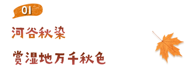 深秋标题 (2).png