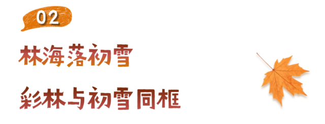 深秋标题 (1).png