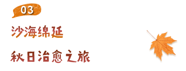深秋标题.png